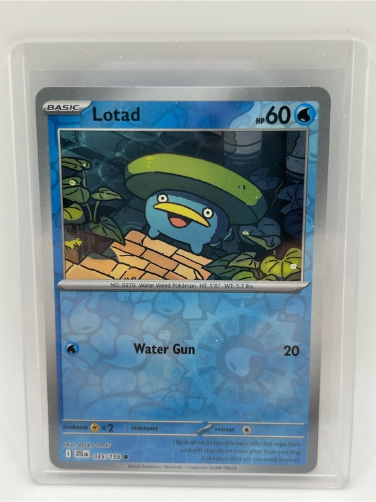 Pokemon Other - Lotad Pokémon Card - 035/159